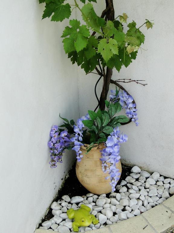 La Petite Maison sur l'Ile de Ré La Flotte Esterno foto