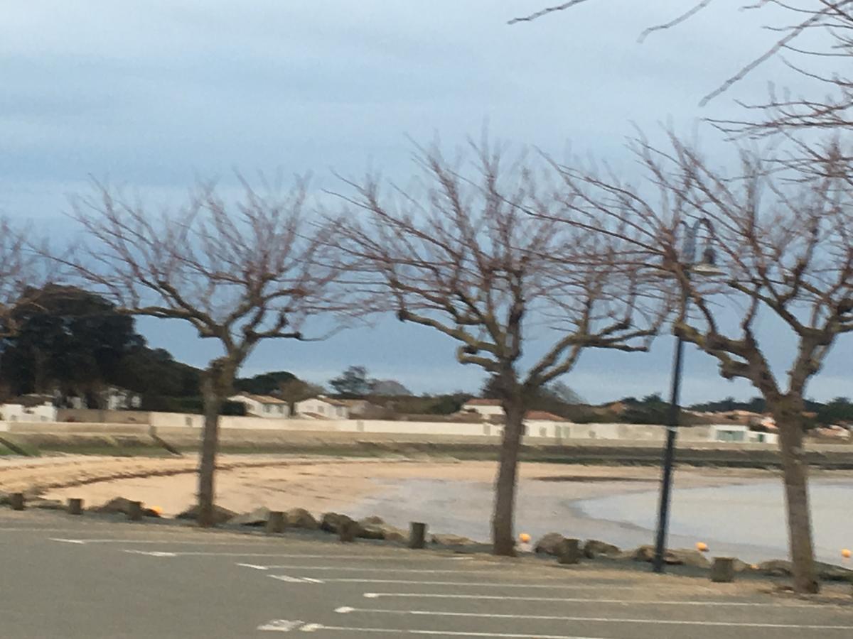 La Petite Maison sur l'Ile de Ré La Flotte Esterno foto